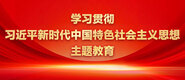 一级操逼视频学习贯彻习近平新时代中国特色社会主义思想主题教育_fororder_ad-371X160(2)